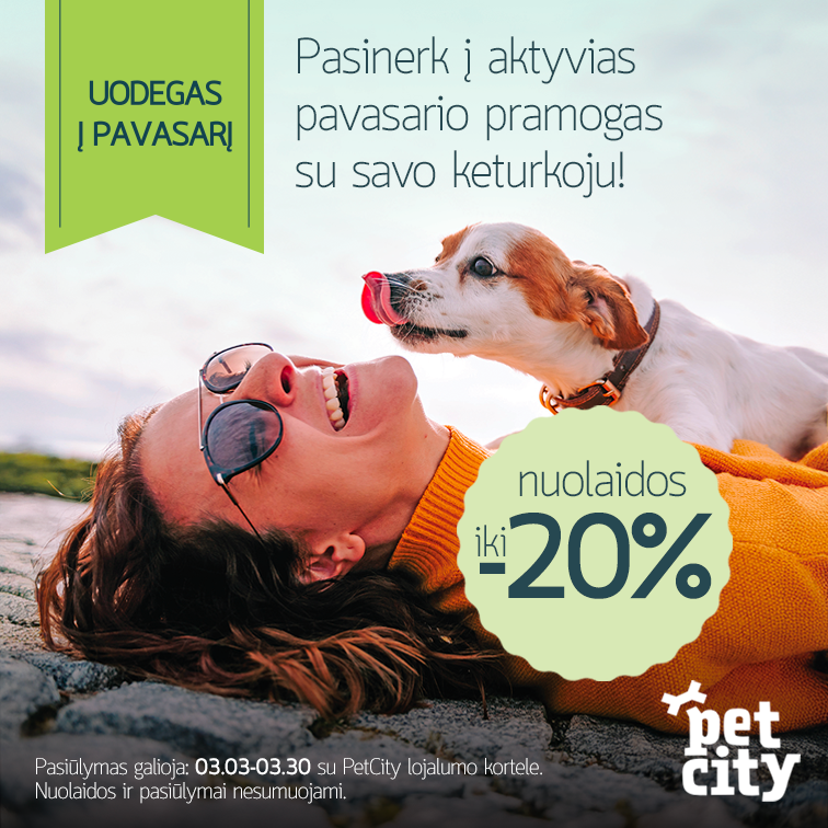 PetCity 756x756 Bendrinis